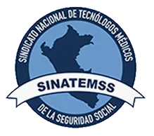 logo-Sinatemss-2026-web